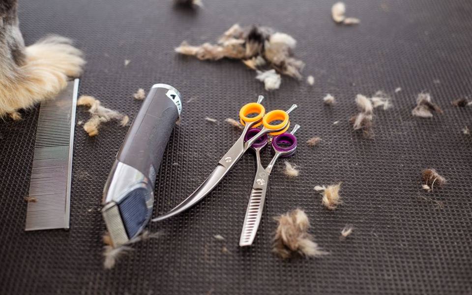 The Mechanics and Value of a Proper Sanitary Trim