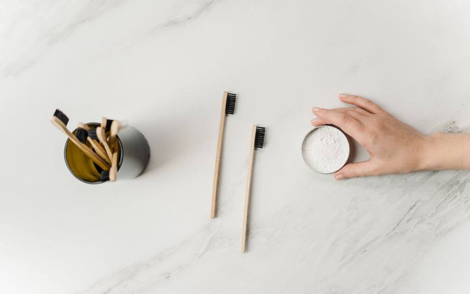 Enzymatic Pastes and Dog Teeth Cleaning Powder