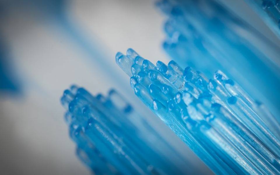 Selecting the Right Manual Toothbrush for Your Dog