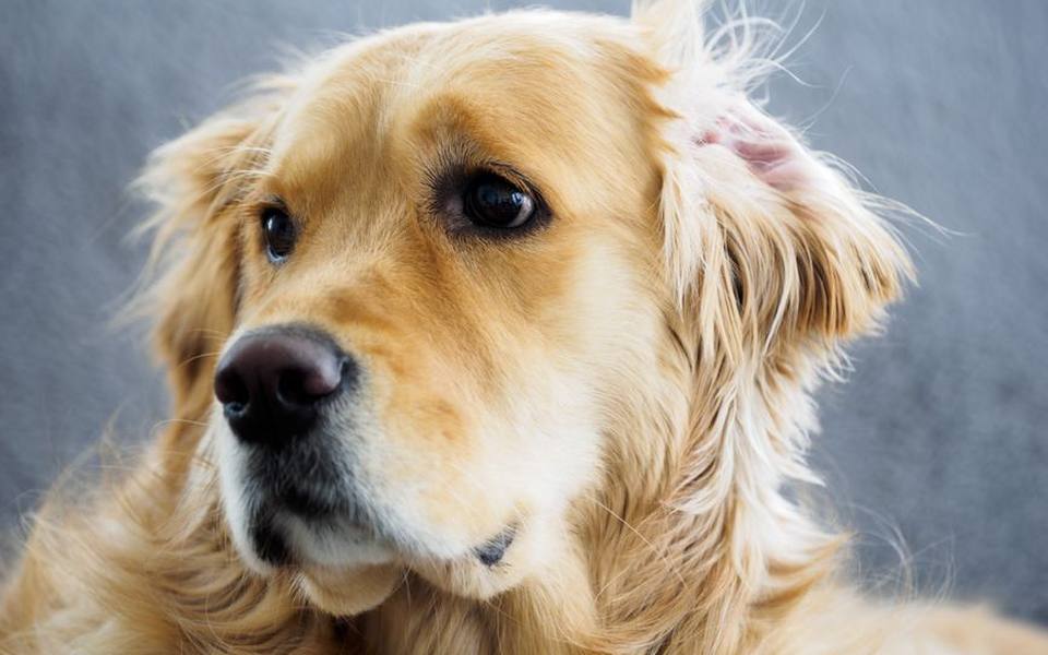 Step by step technique for safe home ear flushing