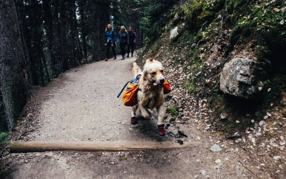 Adventure Treks, Group Hikes, and Open Ranch Outings